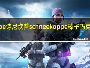 Schneekoppe 诗尼坎普  schneekoppe 榛子巧克力酱卡路里是多少