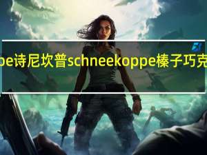 Schneekoppe 诗尼坎普  schneekoppe 榛子巧克力酱的热量是多少