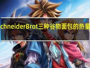 SchneiderBrot 三种谷物面包的热量是多少