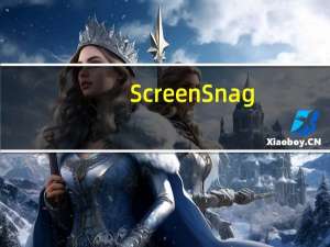 ScreenSnag(好用的屏幕截图工具) V1.4.0.1 免费版（ScreenSnag(好用的屏幕截图工具) V1.4.0.1 免费版功能简介）