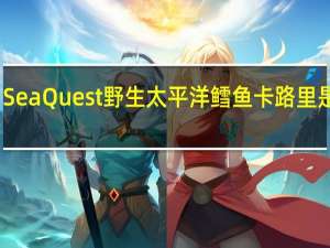 SeaQuest 野生太平洋鳕鱼卡路里是多少