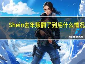 Shein去年赚翻了 到底什么情况嘞