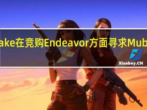 Silver Lake在竞购Endeavor方面寻求Mubadala的支持