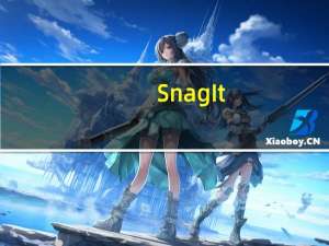 SnagIt(屏幕捕捉软件) V22.0.2.16407 官方最新版（SnagIt(屏幕捕捉软件) V22.0.2.16407 官方最新版功能简介）