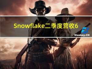 Snowflake二季度营收6.740亿美元分析师预期6.628亿美元Snowflake美股盘后涨0.39%