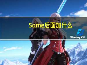 Some后面加什么
