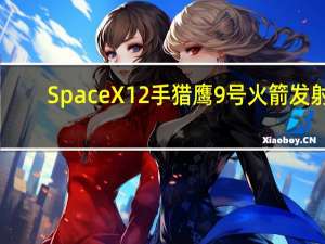 SpaceX 12手猎鹰9号火箭发射：一箭113星！