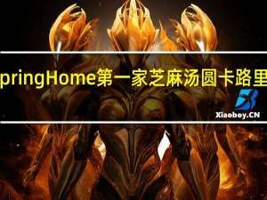 Spring Home 第一家 芝麻汤圆卡路里是多少