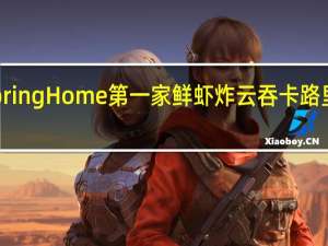 Spring Home 第一家 鲜虾炸云吞卡路里是多少