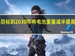Stellantis目标到2030年将电池重量减半 提高可持续发展能力