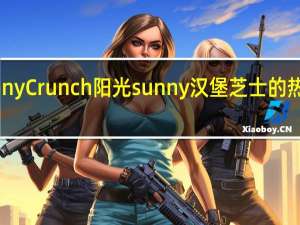Sunny Crunch 阳光 sunny 汉堡芝士的热量是多少