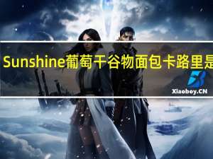 Sunshine 葡萄干谷物面包卡路里是多少