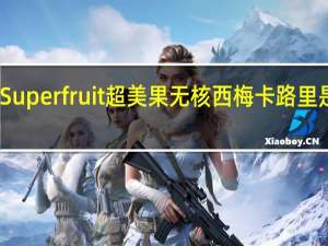 Super fruit 超美果无核西梅卡路里是多少