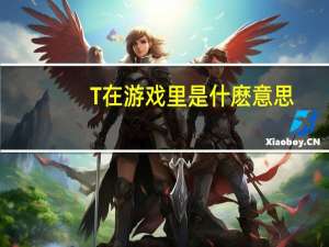 T在游戏里是什麽意思