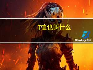 T恤也叫什么