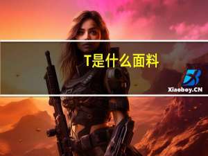 T是什么面料