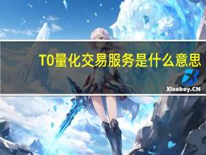 T0量化交易服务是什么意思