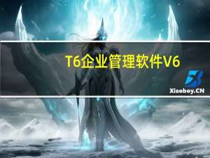 T6企业管理软件 V6.5 官方版（T6企业管理软件 V6.5 官方版功能简介）