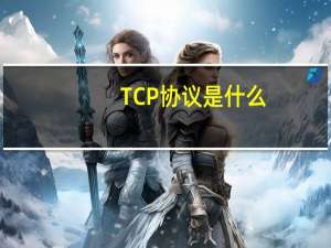 TCP协议是什么