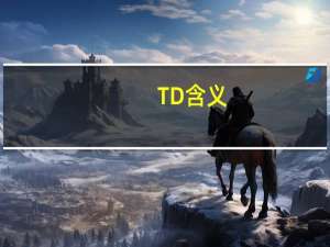 TD 含义
