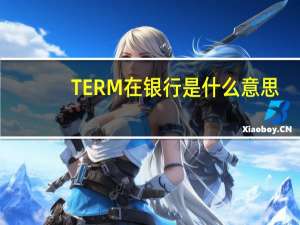 TERM在银行是什么意思