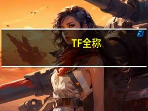 TF全称
