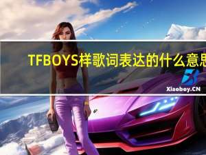 TFBOYS样歌词表达的什么意思（样歌词tfboys歌词）