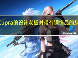 TG质疑Cupra的设计老板对带有铜饰品的灰色汽车的痴迷
