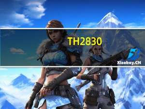 TH2830（t328wrom）