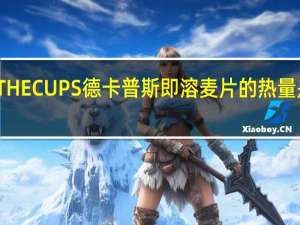 THECUPS 德卡普斯 即溶麦片的热量是多少