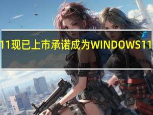TINY11现已上市 承诺成为WINDOWS 11而无需硬件