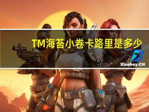 TM 海苔小卷卡路里是多少