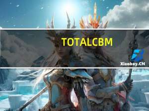 TOTAL CBM（total CBM是什么意思）