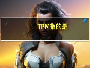 TPM指的是