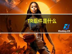 TR组件是什么