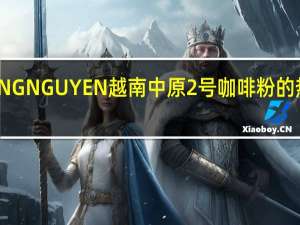 TRUNG NGUYEN 越南中原2号咖啡粉的热量是多少