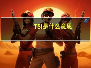 TSI是什么意思