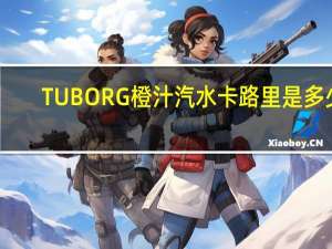 TUBORG 橙汁汽水卡路里是多少