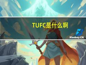 TUFC是什么啊，我今年高三。成绩在二本线上下，想出国留学。听说有个TUFC，是什么意思