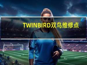 TWINBIRD双鸟维修点（twinbird）