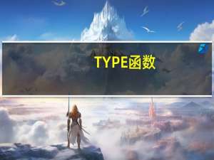 TYPE函数