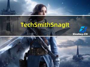 TechSmith SnagIt(专业屏幕截图工具) V9.1 中文绿色版（TechSmith SnagIt(专业屏幕截图工具) V9.1 中文绿色版功能简介）