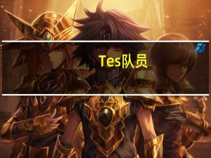 Tes队员（tes是什么队）