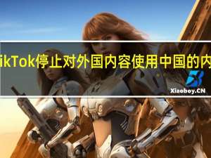 TikTok停止对外国内容使用中国的内容版主