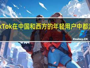 TikTok在中国和西方的年轻用户中都深受欢迎