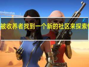 TikTok帮助被收养者找到一个新的社区来探索快乐家庭和归属感