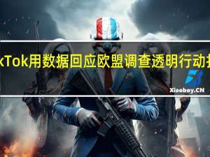 TikTok用数据回应欧盟调查 透明行动打击欺诈
