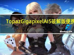 Topaz Gigapixel AI 5破解版 便携版（Topaz Gigapixel AI 5破解版 便携版功能简介）