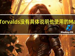 Torvalds 没有具体说明他使用的 Mac 型号