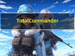 Total Commander(全能文件管理器) V10.50 便携版（Total Commander(全能文件管理器) V10.50 便携版功能简介）